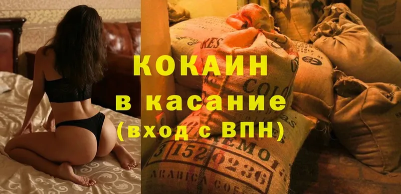 COCAIN Эквадор  купить закладку  Каргополь 