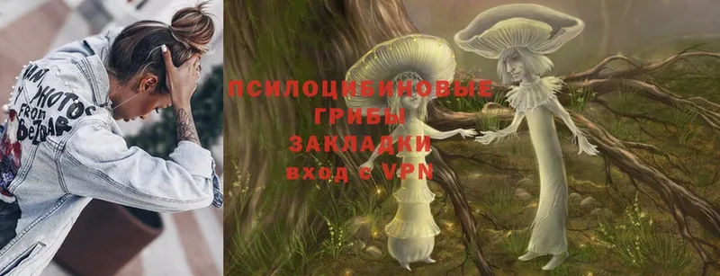 Псилоцибиновые грибы Psilocybine cubensis  где продают   Каргополь 